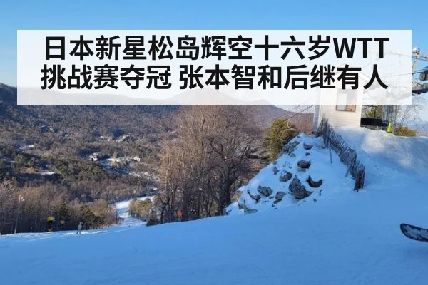 日本新星松岛辉空十六岁WTT挑战赛夺冠 张本智和后继有人